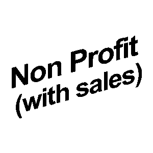 Non Profit With Sales